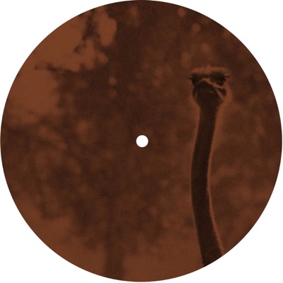 Rauta - EP