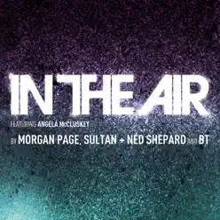 In the Air (feat. Angela McCluskey) - Single - Morgan Page