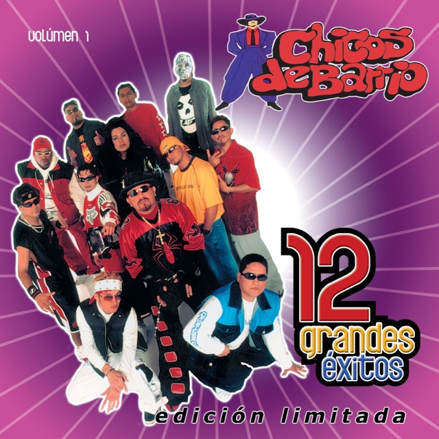 Chicos de Barrio: 12 Grandes Exitos, Vol. 1