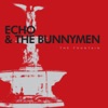 Echo & The Bunnymen