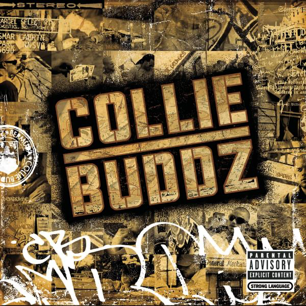 Mamacita — Collie Buddz