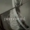 Primordial