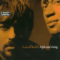 What a Feeling — Llava