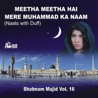 Meetha Meetha Hai Mere Muhammad Ka Naam Vol. 16 - Naats with Duff - Shabnam Majid