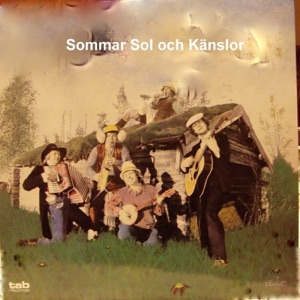 Sommar Sol Och Känslor