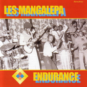 Cover art for Endurance by Les Mangalepa