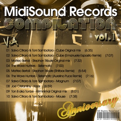 MidiSound Vol 1