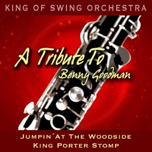 A Tribute to Benny Goodman (Jumpin' At the Woodside / King Porter Stomp) - Single
