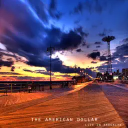 Live in Brooklyn album cover