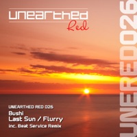 Last Sun / Flurry - EP - Bushi
