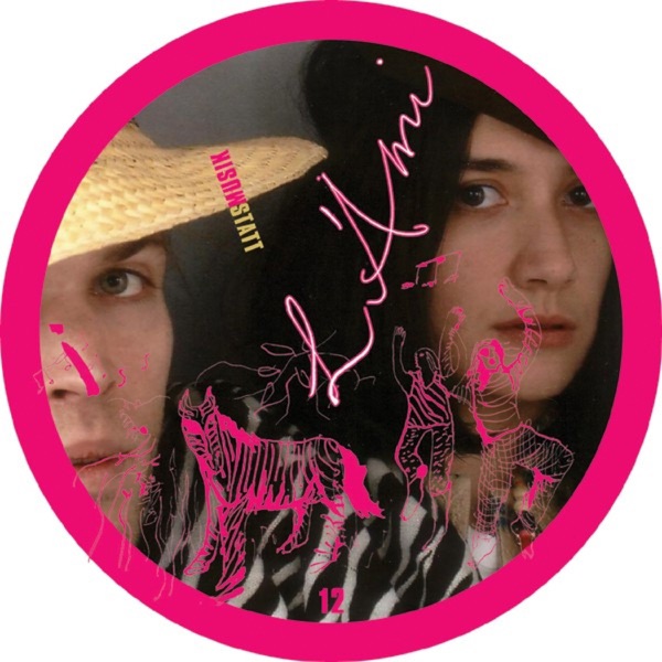 Les Chansons du Zebra dans le Jardin des Framboises - Single