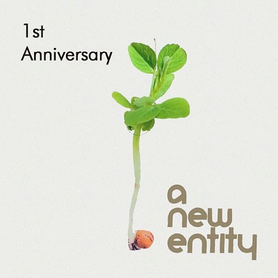 A New Entity: 1st Anniversary Compilation
