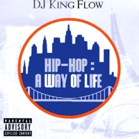 Hip-Hop : A Way of Life - DJ King Flow