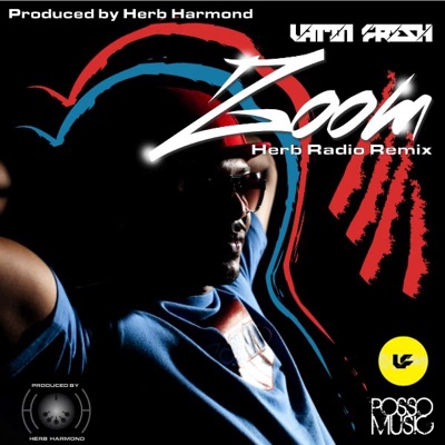 Zoom (Herb Radio Remix) [feat. Produced by Herb Harmond] - Single