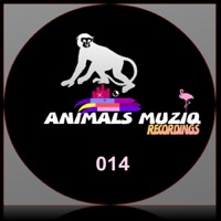 Sunamik - Single - Sosa Ibiza