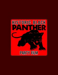 The Black Panthersを聴いたり、ミュージックビデオを鑑賞したり、経歴やツアー日程などを確認したりしましょう！