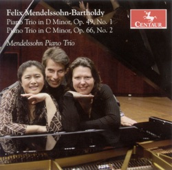 Piano Trio No. 1 in D minor, Op. 49: I. Molto allegro agitato