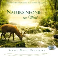 Symphony of Nature in the Forest (Natursinfonie im Wald) [Stimulating Feel-Good Music and Sounds of Nature] - Santec Music Orchestra