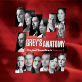 Grey's Anatomy, Vol. 4 (Original Soundtrack)