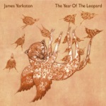 James Yorkston - Summer Song