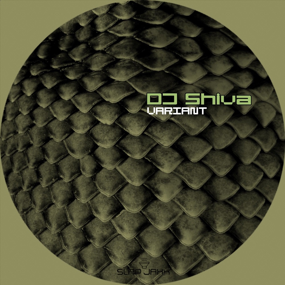 Обложка альбома «Variant» — DJ Shiva