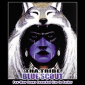 Blue Scout