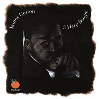 Good Time Charlie — James Cotton