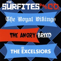The Surfites - Danger Ahead '66 (The Angry Breed)