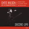 Chris Wilson - Visions of Johanna