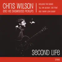 Visions of Johanna — Chris Wilson