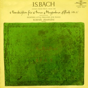 Zempléni Kornél zongorázik