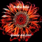 Grazie dei fiori