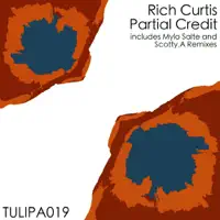 Partial Credit (Scotty.A Remix) — Rich Curtis