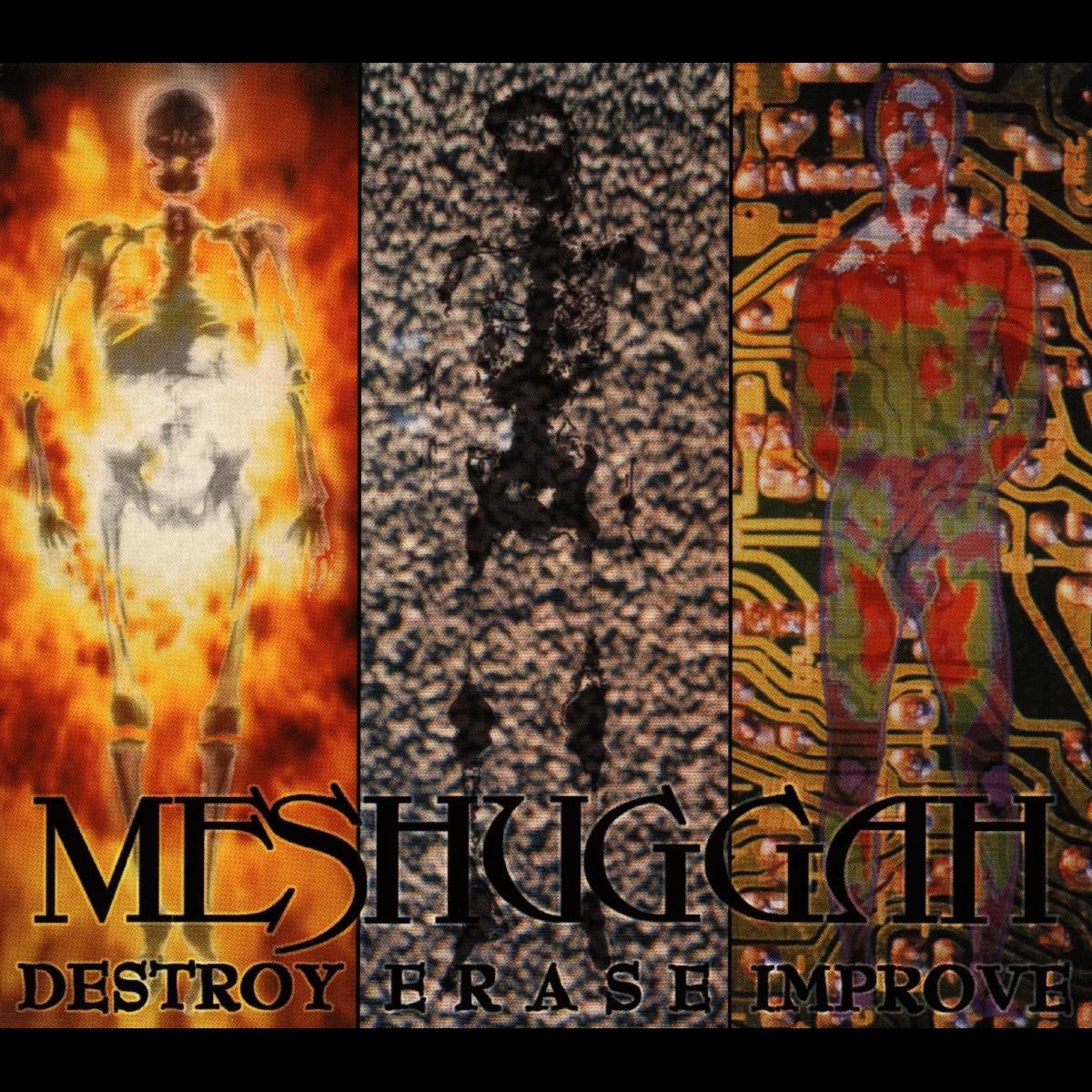 ‎Destroy Erase Improve - Album by Meshuggah - Apple Music