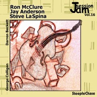 Jam Session, Vol. 16 - Jay Anderson, Ron McClure & Steve Laspina