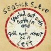 Seasick Steve