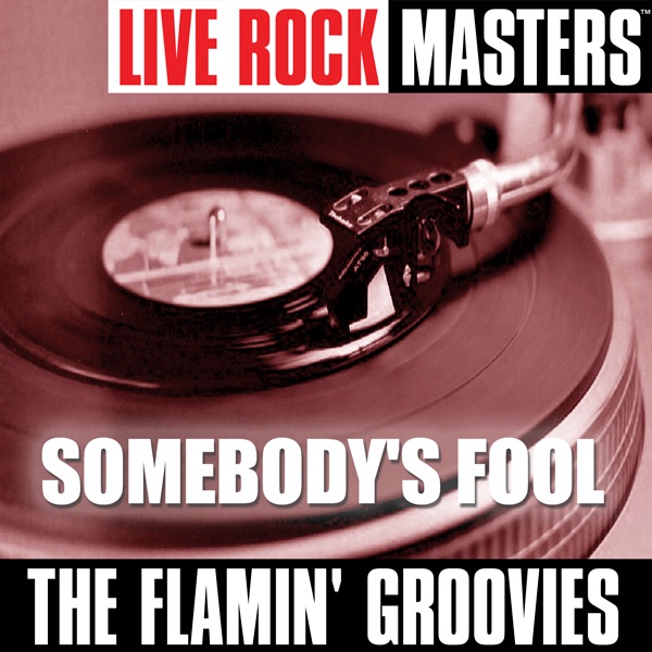 Live Rock Masters: Somebody's Fool