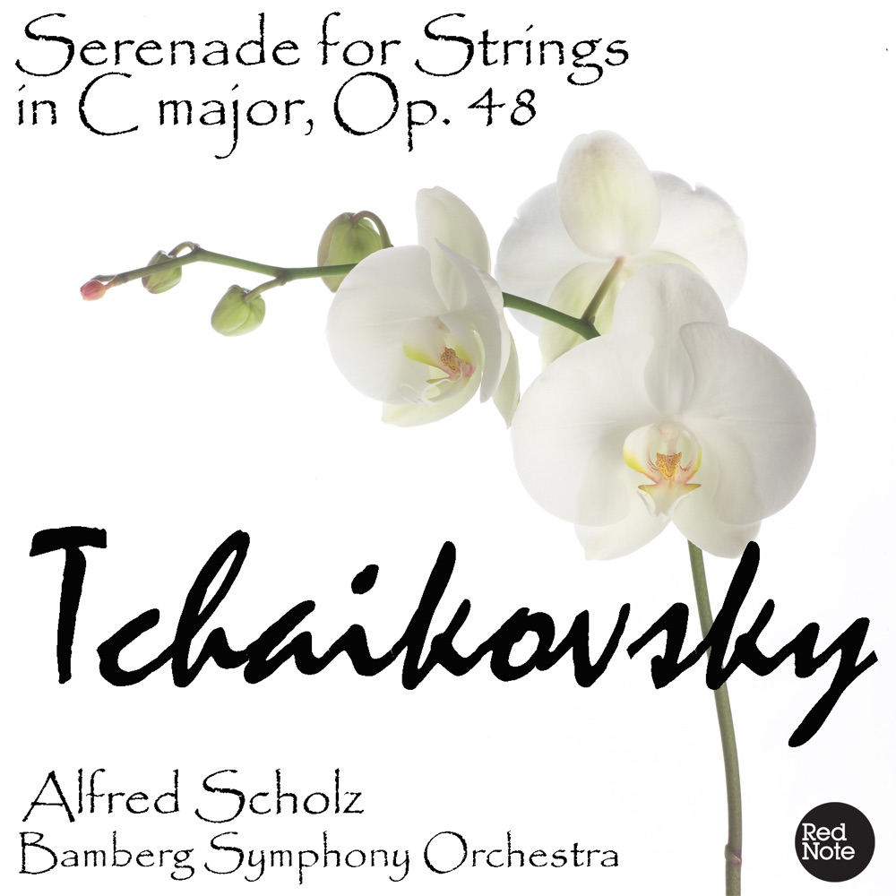Обложка альбома «Tchaikovsky: Serenade for Strings in C major, Op. 48» — Bamberg Symphony Orchestra & Alfred Scholz
