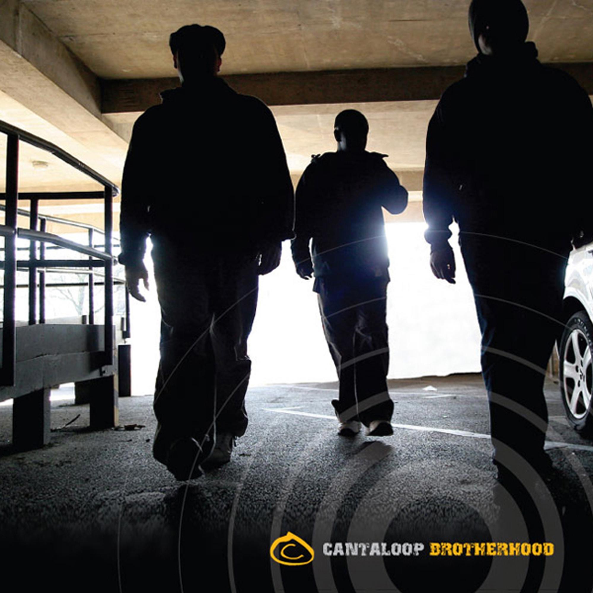 Brotherhood - Single