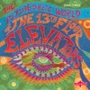 The Psychedelic World of the 13th Floor Elevators, Vo.l 2, 2006