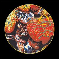 Virtual Current - Transonic & Robert Musso