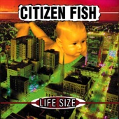 Citizen Fish - Over the Fence