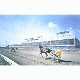 Soft Dream Safe Noos