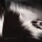 Turritopsis - To Kill a Petty Bourgeoisie lyrics