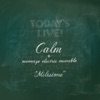 Calm - Dubbing for the Nature#2 (Waltz for the Virgin Forest)