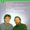 Paul Meyer Clarinet Sonata in E-Flat Major, Op. 120, No. 2: I. Allegro amabile Brahms: Clarinet Sonatas & Weber: Grand duo concertant