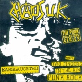 Radio Earslaughter / 100% 2 Fingers In the Air Punk Rock artwork