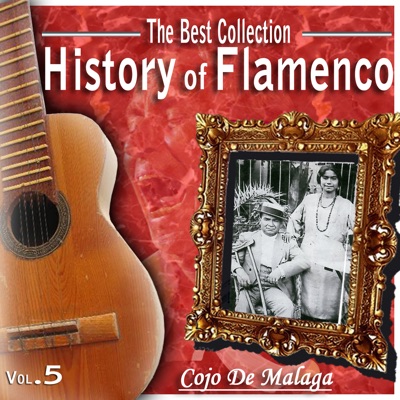 The Best Collections: History of Flamenco, Vol. 5