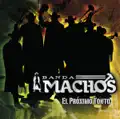 Banda machos