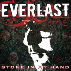 Stone In My Hand - Single - Everlast